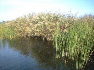 CA3A0049.jpg