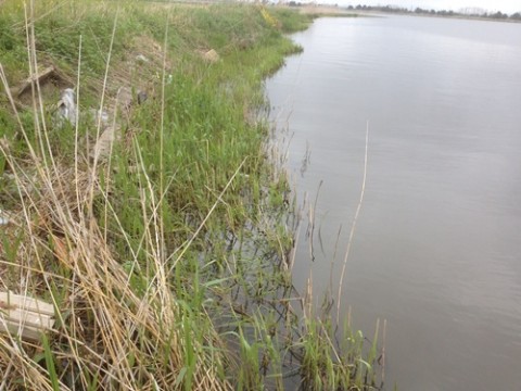 STCブログ写真 2012/05/11