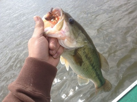 STCブログ写真 2012/05/11