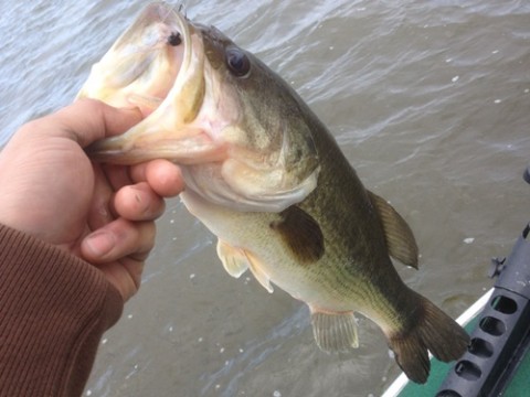 STCブログ写真 2012/05/11