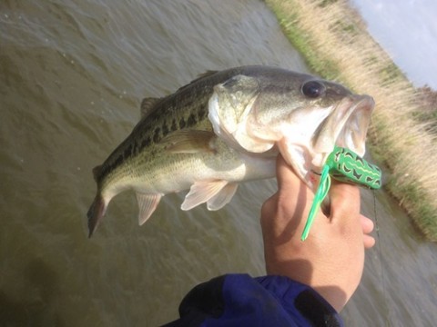 STCブログ写真 2012/05/11