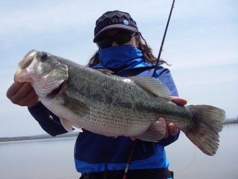 STCブログ写真 2012/05/15