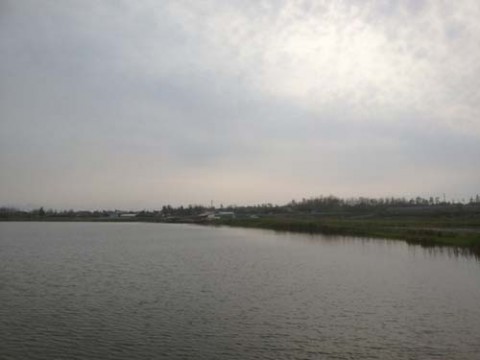 STCブログ写真 2012/05/17