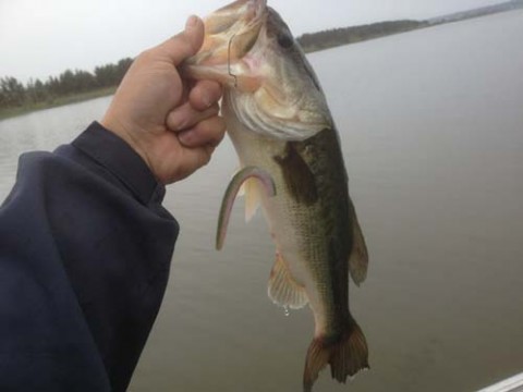 STCブログ写真 2012/05/17