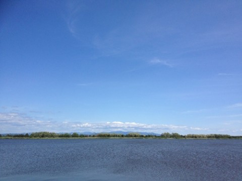 STCブログ写真 2012/06/11