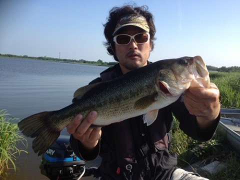 STCブログ写真 2012/07/11