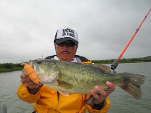 STCブログ写真 2012/08/18