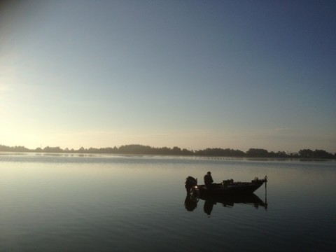 STCブログ写真 2012/08/22