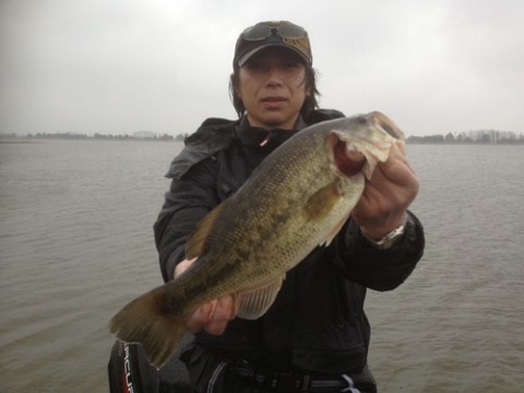 STCブログ写真 2013/05/07