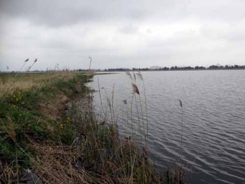 STCブログ写真 2013/05/14