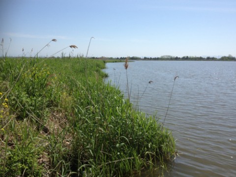 STCブログ写真 2013/06/01