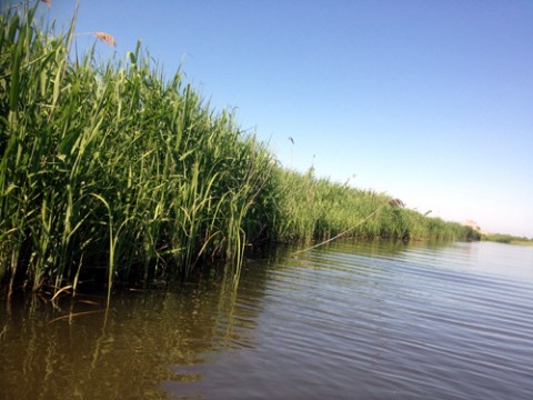 STCブログ写真 2013/06/10
