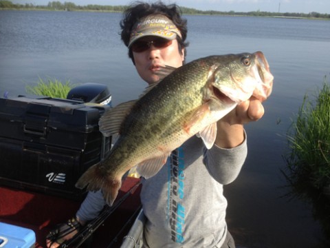 STCブログ写真 2013/06/10