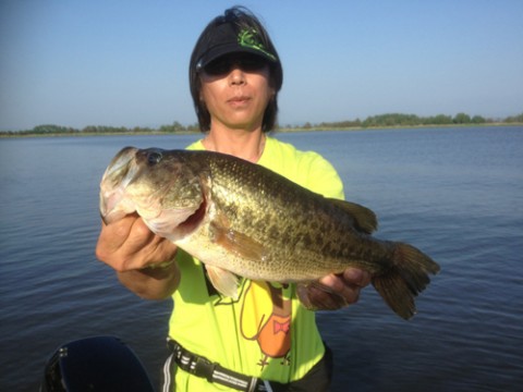 STCブログ写真 2013/06/15