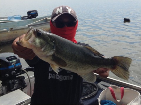 STCブログ写真 2013/06/15