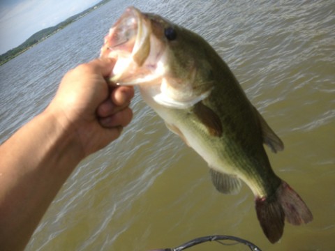 STCブログ写真 2013/06/17