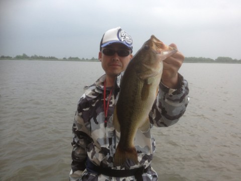 STCブログ写真 2013/06/20