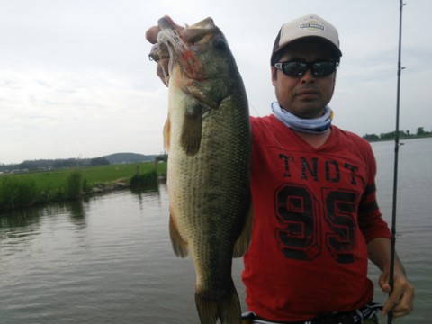 STCブログ写真 2013/07/01