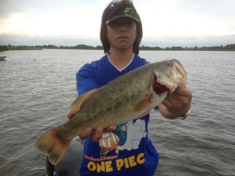 STCブログ写真 2013/07/19