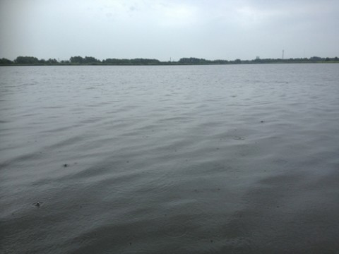 STCブログ写真 2013/07/22