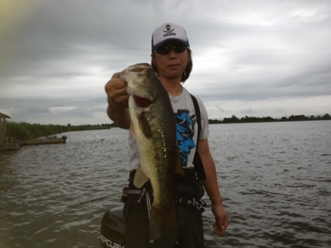 STCブログ写真 2013/08/02