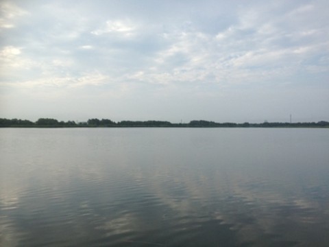 STCブログ写真 2013/08/07