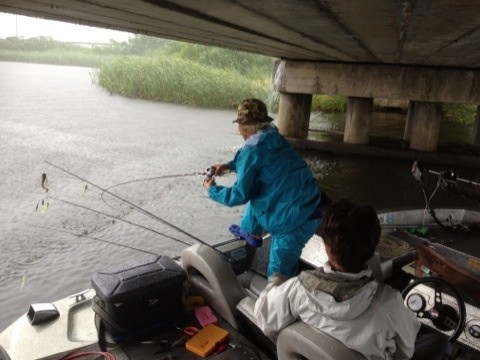 STCブログ写真 2013/08/20