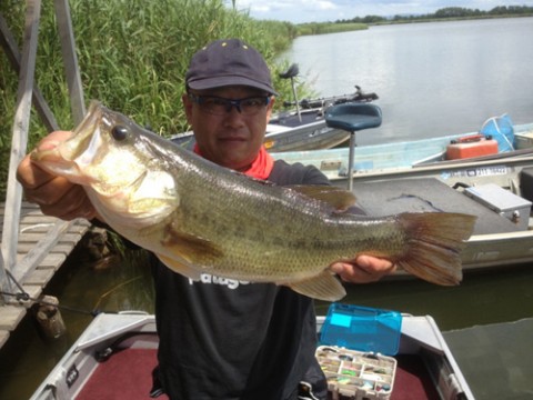 STCブログ写真 2013/08/22