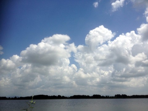 STCブログ写真 2013/08/24