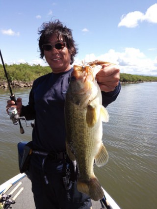 STCブログ写真 2013/08/27