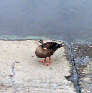 STCブログ写真 2013/08/27