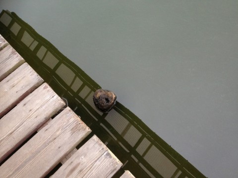 STCブログ写真 2013/09/07