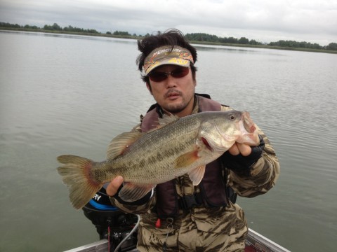 STCブログ写真 2013/09/07