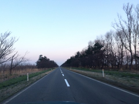 STCブログ写真 2014/04/13