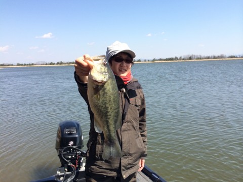 STCブログ写真 2014/04/13