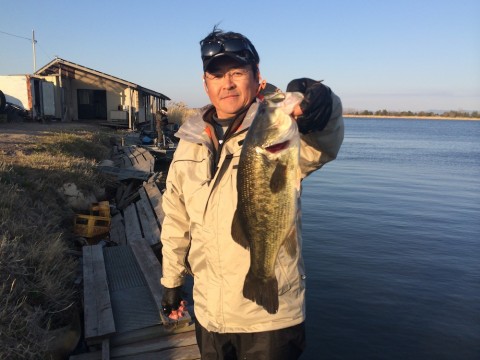 STCブログ写真 2014/04/20