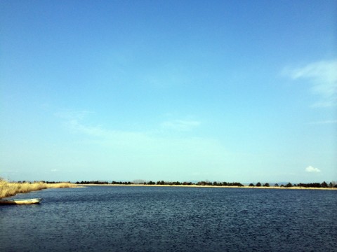 STCブログ写真 2014/04/22