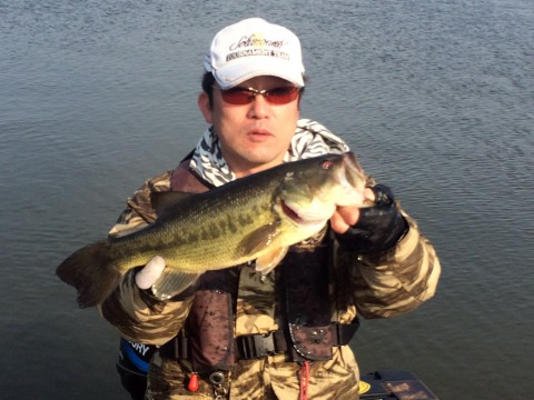 STCブログ写真 2014/04/22