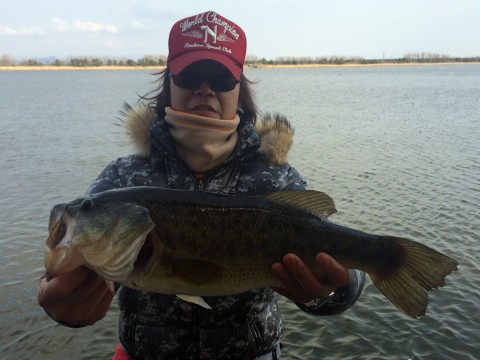 STCブログ写真 2014/04/22