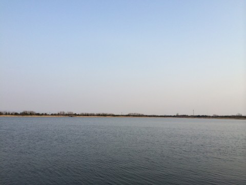 STCブログ写真 2014/04/25