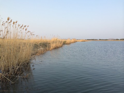 STCブログ写真 2014/04/25