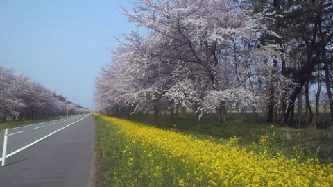 STCブログ写真 2014/04/26