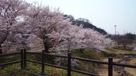 STCブログ写真 2014/04/27