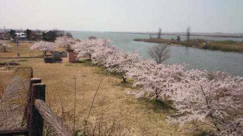 STCブログ写真 2014/04/27