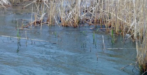 STCブログ写真 2014/04/28