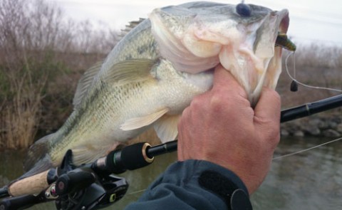 STCブログ写真 2014/04/28