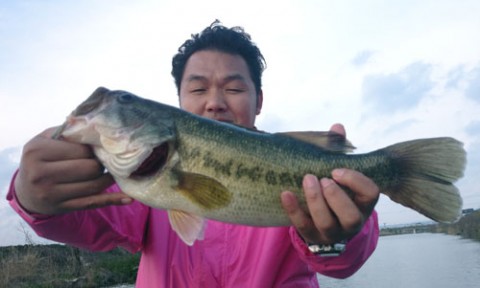 STCブログ写真 2014/04/28