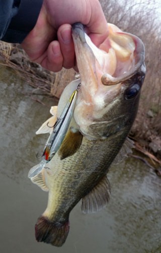 STCブログ写真 2014/04/28