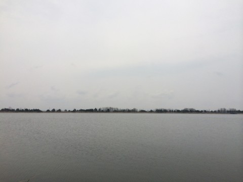 STCブログ写真 2014/04/28