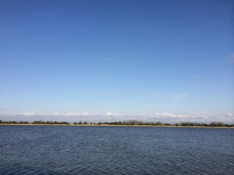 STCブログ写真 2014/05/18